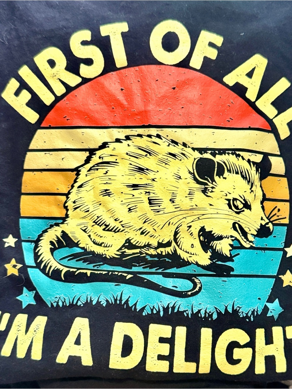 Gildan Yellow Opossum Graphic Tee with Orange & Teal Retro Stripes